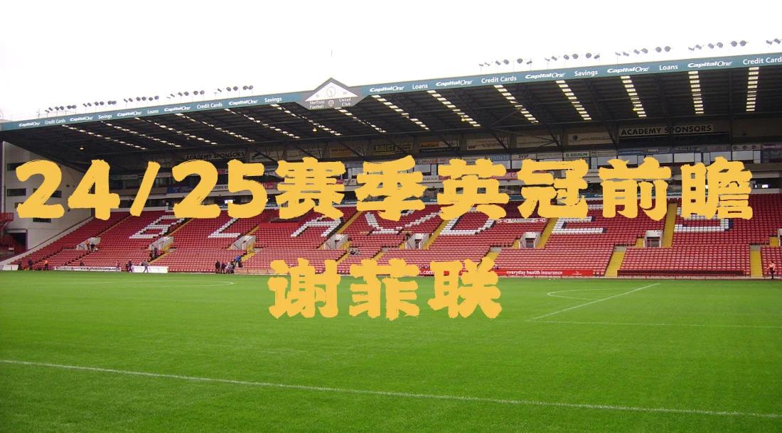 谢菲联在主场获胜，力保保级希望的简单介绍