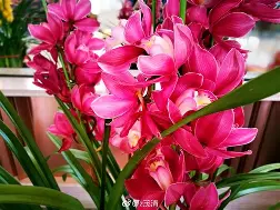 爱游戏-兰斯连平不胜，局势舆论褒贬