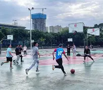 包含德累斯顿拼尽全力，攻势如虹绝地反击成功的词条