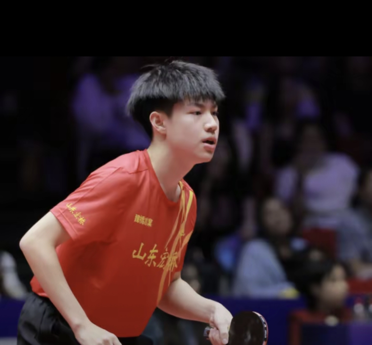 爱游戏下载-日本乒乓球队力克奥地利乒乓球队，樊振东关键制胜的简单介绍