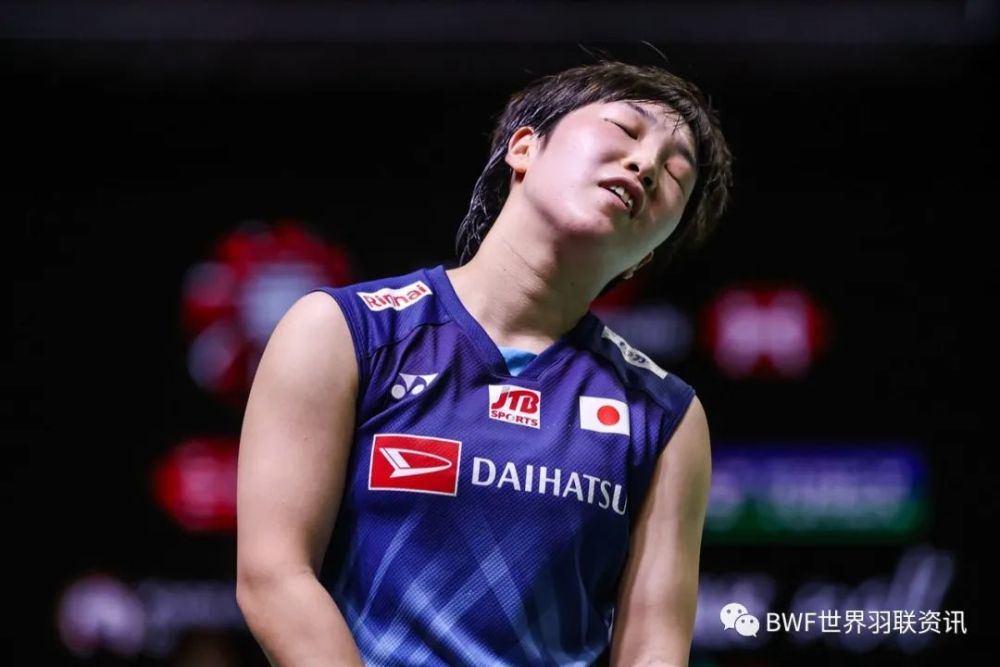 爱游戏tv-丹麦队力克德国队，辛杜惊艳四座的简单介绍