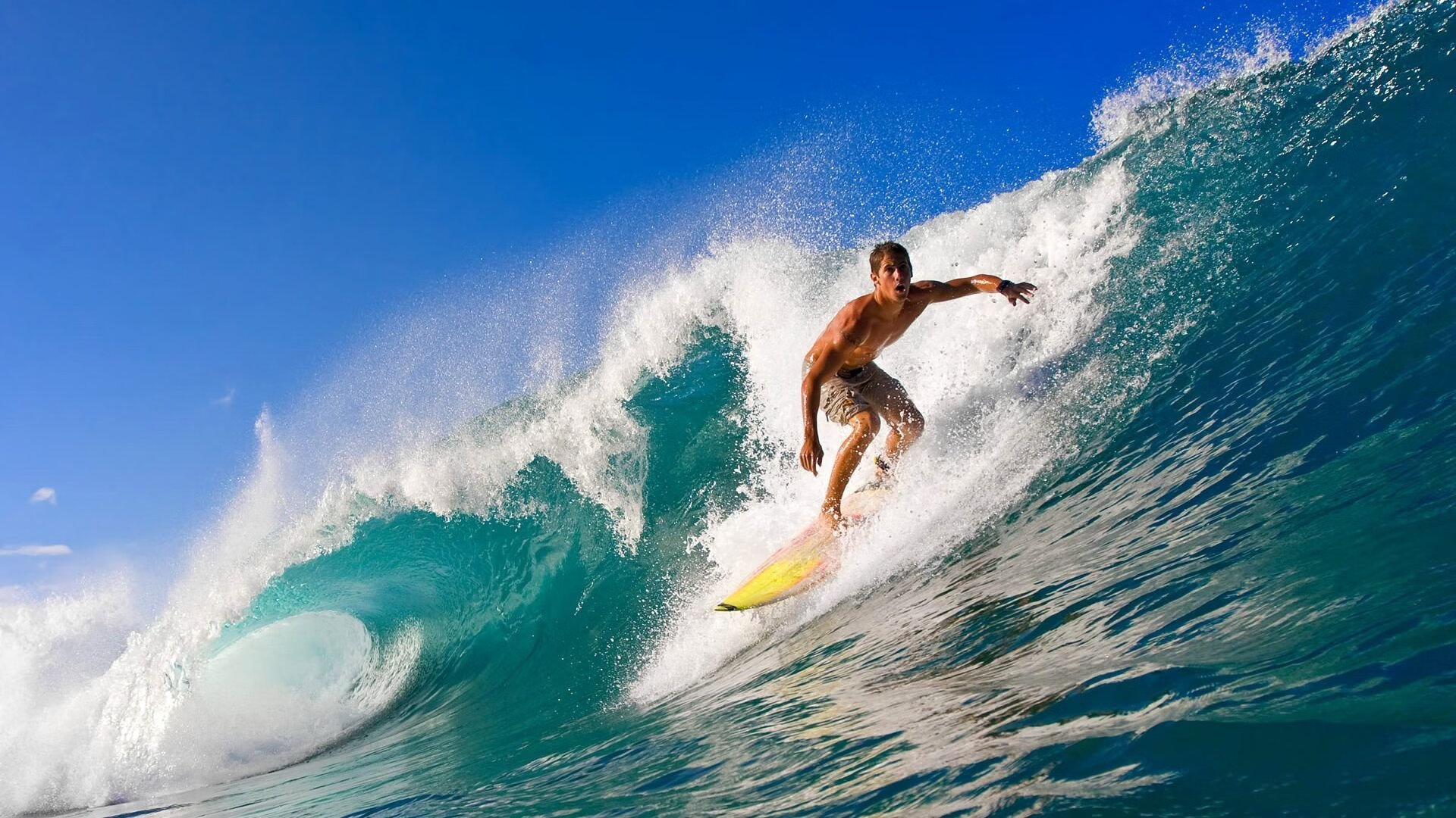 体育盛宴，葡萄牙队险胜德国队，许昕状态火热闪耀赛场
